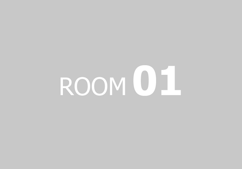 napis-ROOM-01