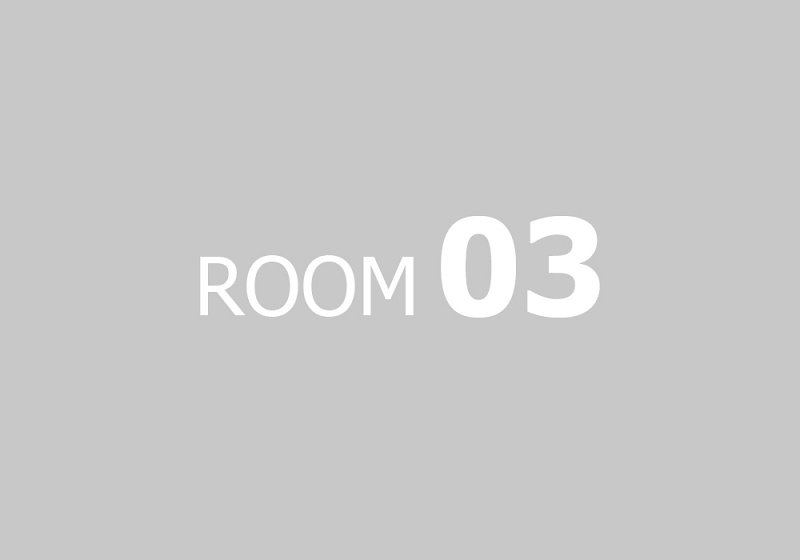 napis-ROOM-03