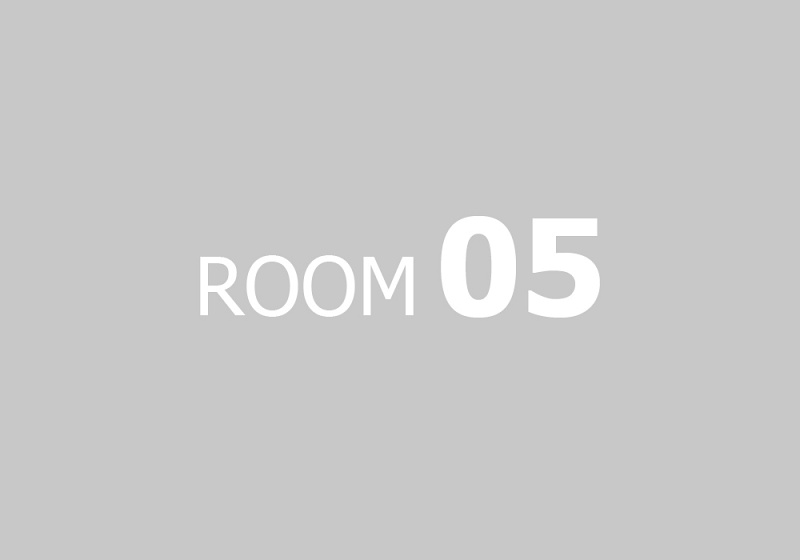 napis-ROOM-05