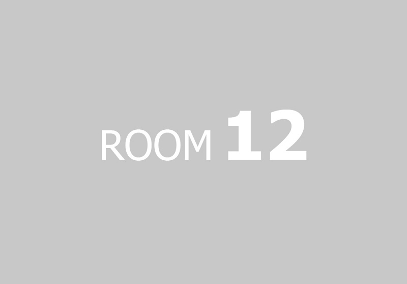 napis-ROOM-12