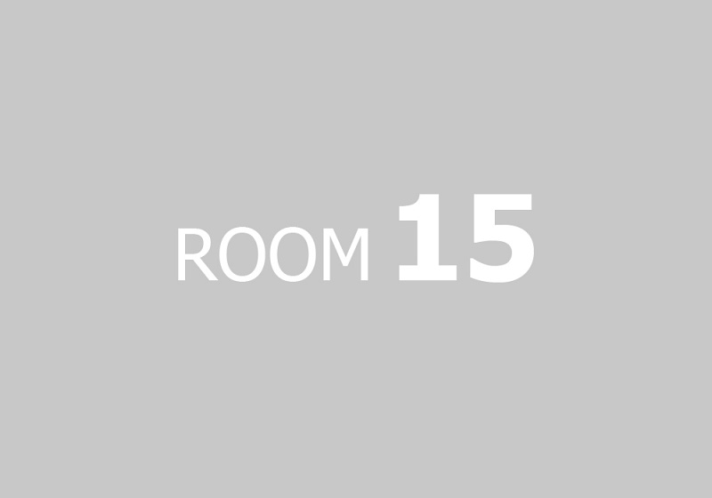 napis-ROOM-15