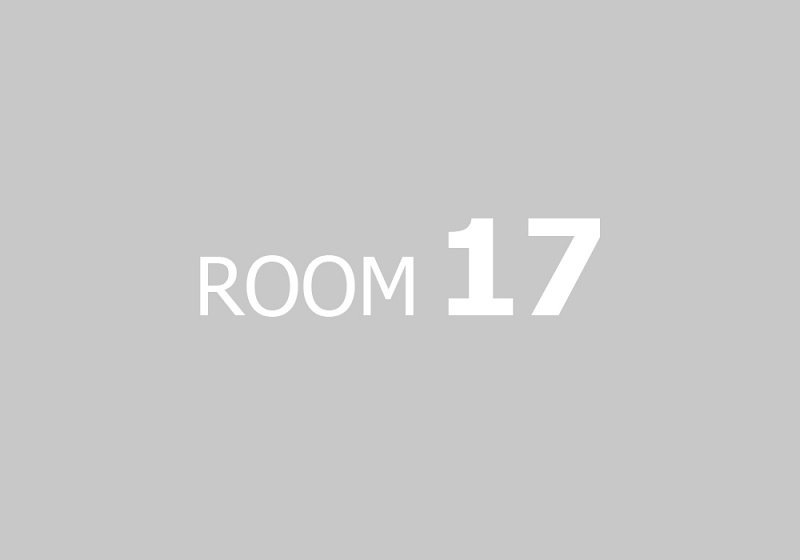 napis-ROOM-17